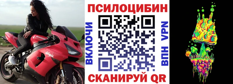 блэк спрут рабочий сайт  наркота  Тара  Псилоцибиновые грибы мухоморы 